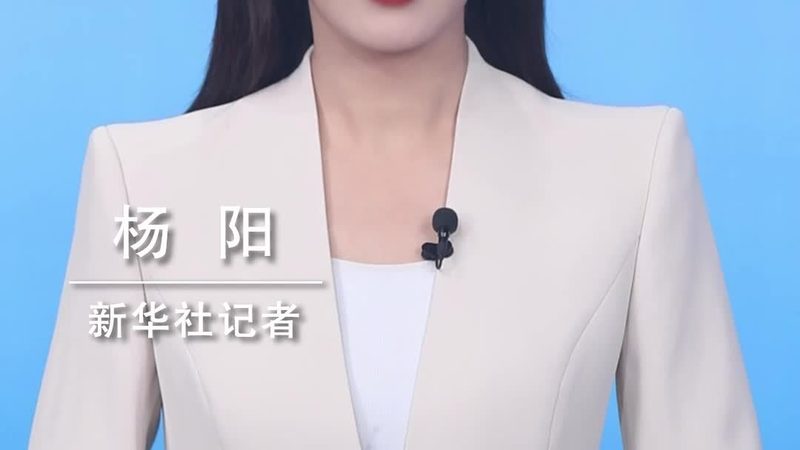 数据湖与数据仓库：揭秘企业大数据存储的差异化策略